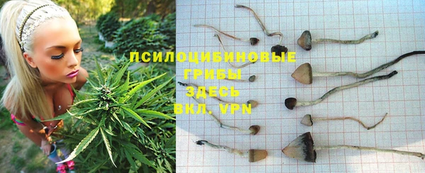 СК Надым
