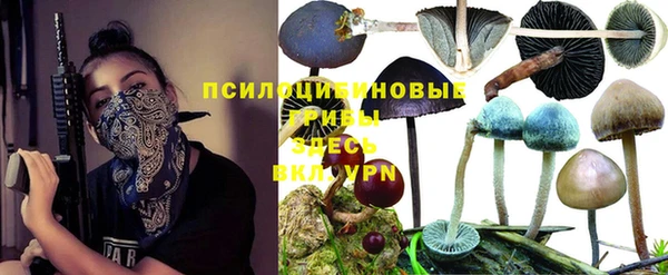 СК Надым