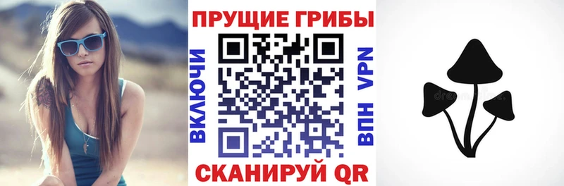 купить   Горячеводский  Псилоцибиновые грибы прущие грибы 